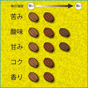 グァテマラ　エスペランサ農園　100ｇ