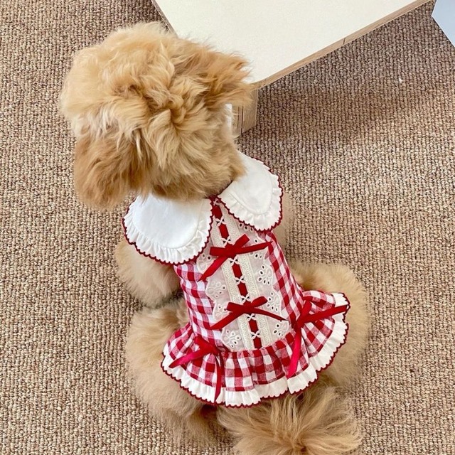 赤いギンガムチェックのワンピース　犬服　00933