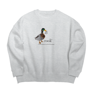 Ash)Brook Duck Dot Sweat