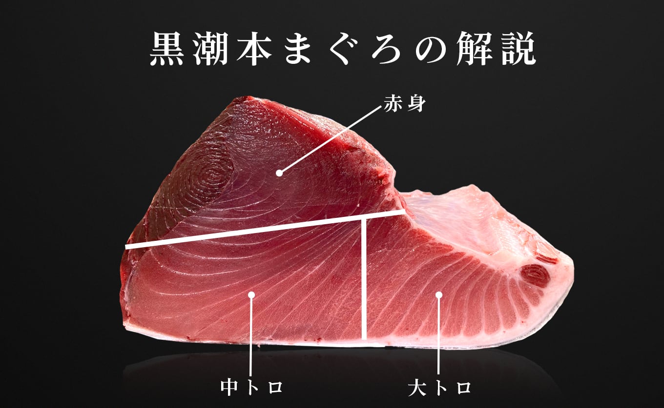 日本一の本まぐろ 最優秀賞受賞 赤身・中トロ 2種3柵 計450g 刺身用