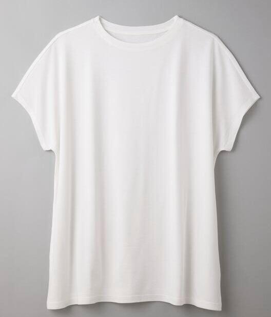 【竹布】 TAKEFU ショートスリーブTシャツ オフホワイト M~L