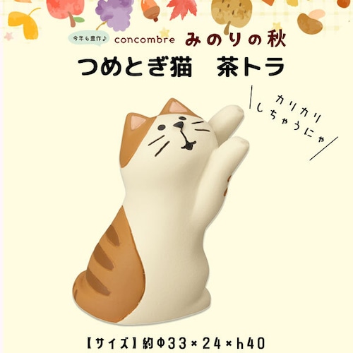 コンコンブル みのりの秋 つめとぎ猫 茶トラ