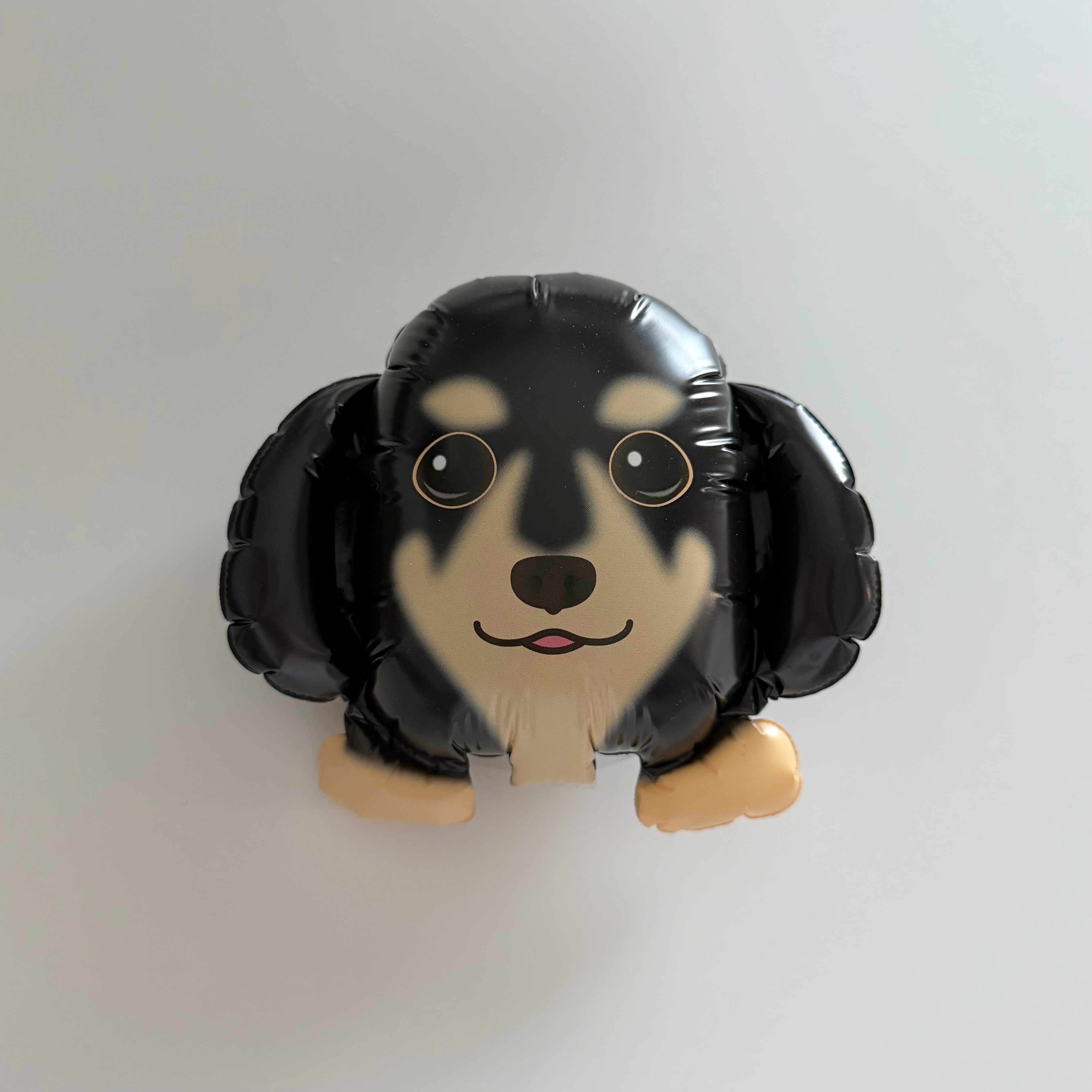 わんこ(ダックス)