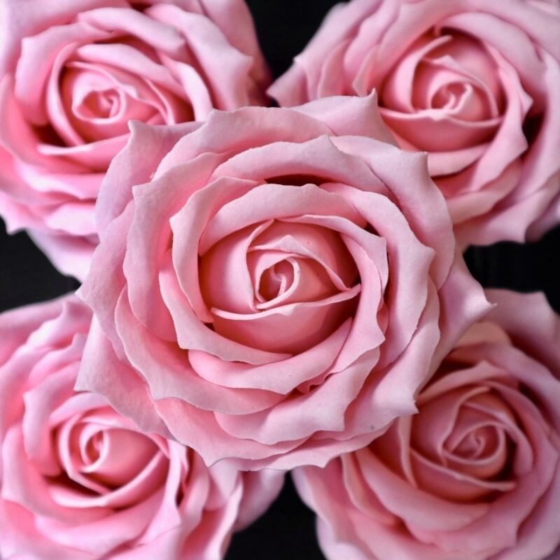 クイーンバラQ-P4 薄ピンク(9輪入り）