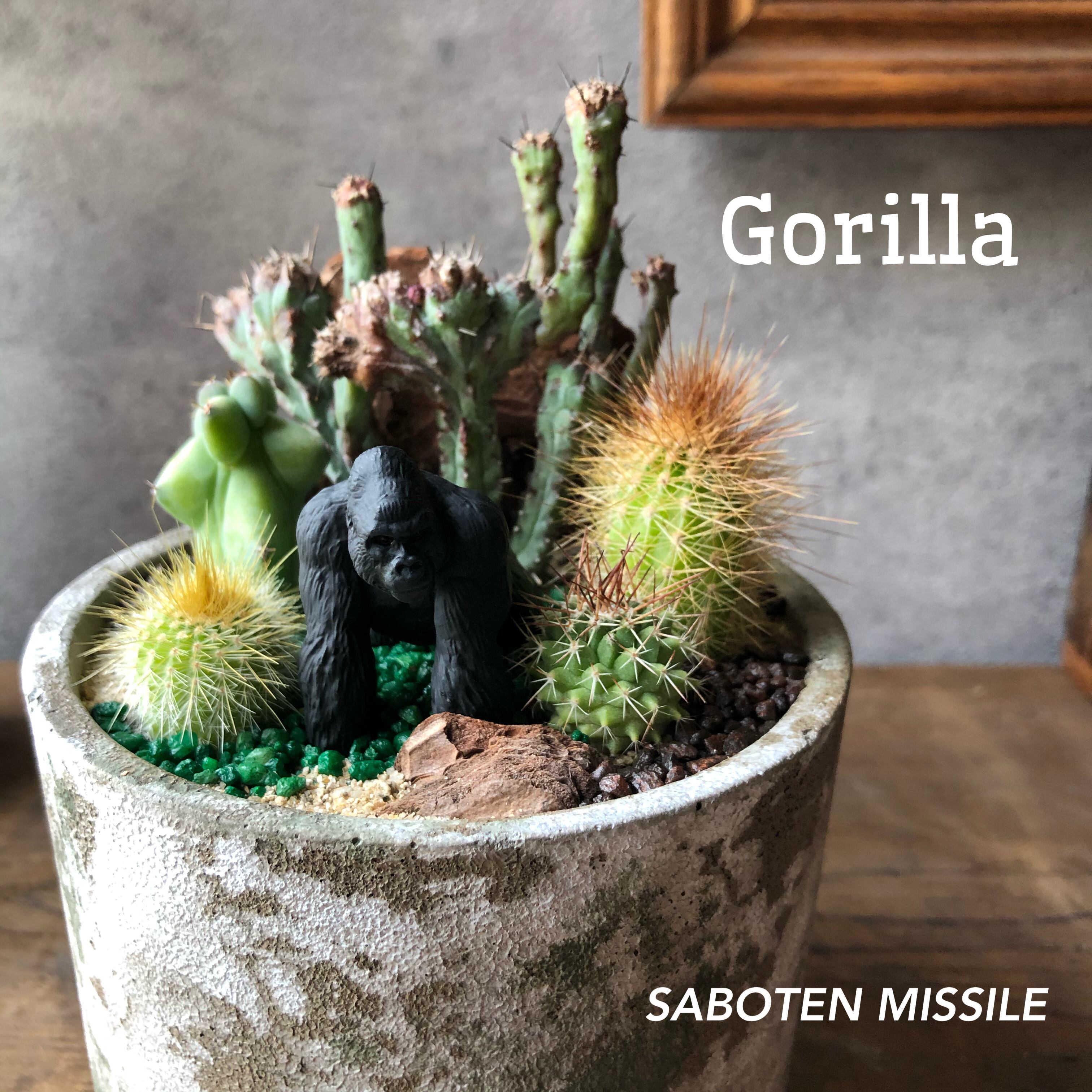 Gorilla ゴリラ mini | SABOTEN MISSILE