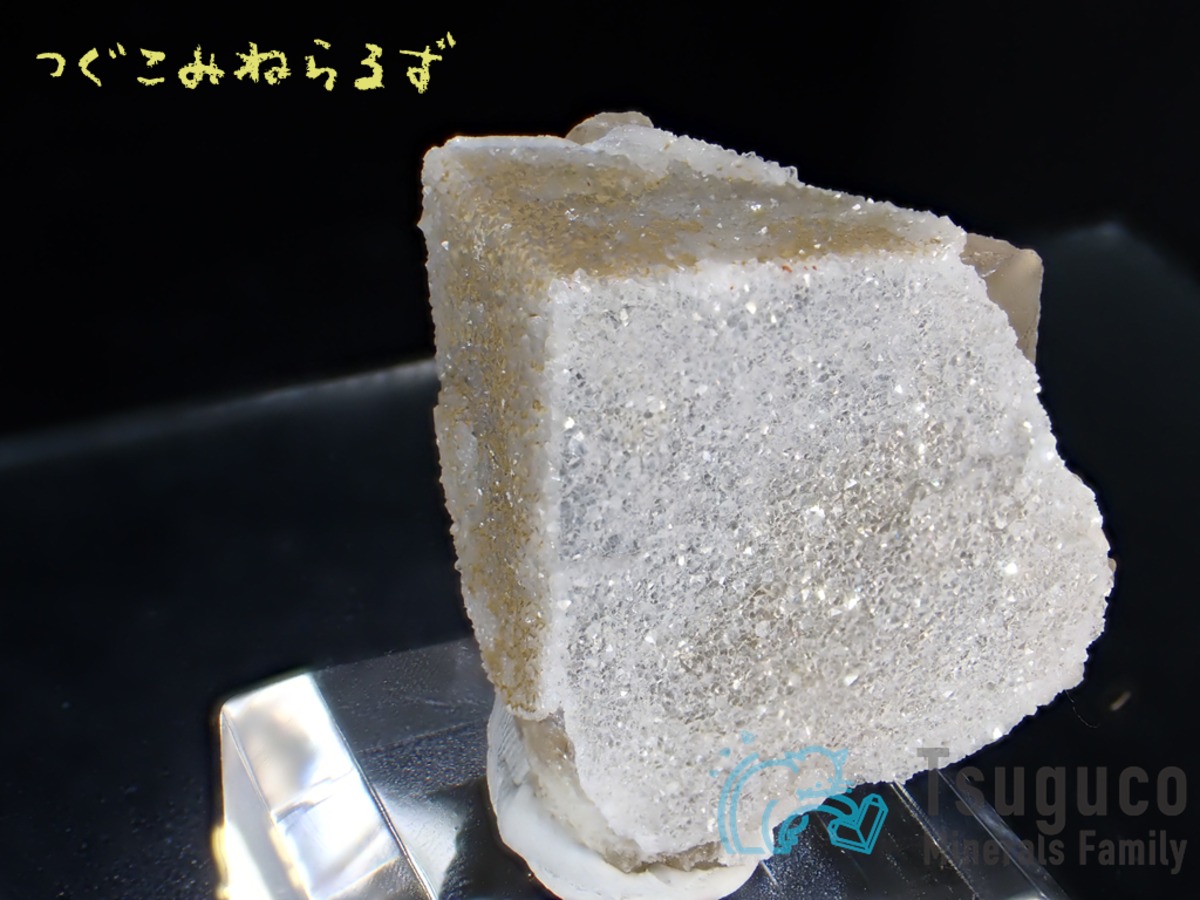 4701ed1fbc51158686a49a71eddef0