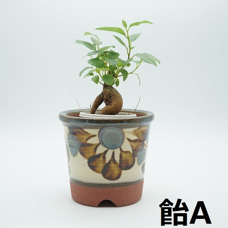植木鉢（大）【陶器屋須藤】 | 沖縄の工芸品 うぃーりきさん