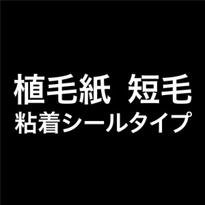 【人気】SOHOタワー 植毛紙の粘着シールタイプ 短毛 黒 A4判 2枚