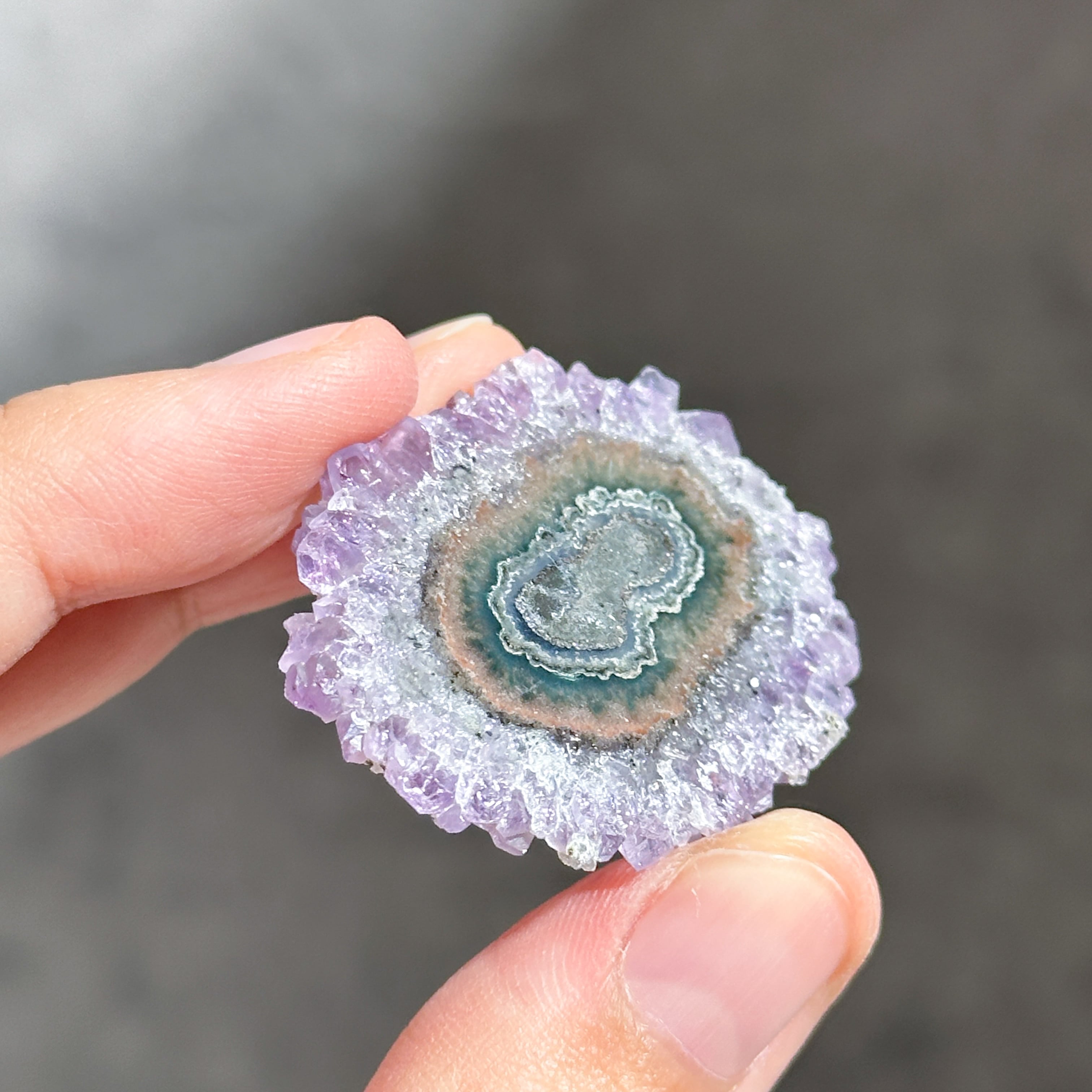 フラワーアメジスト スライス71◇ Flower Amethyst ◇天然石・鉱物