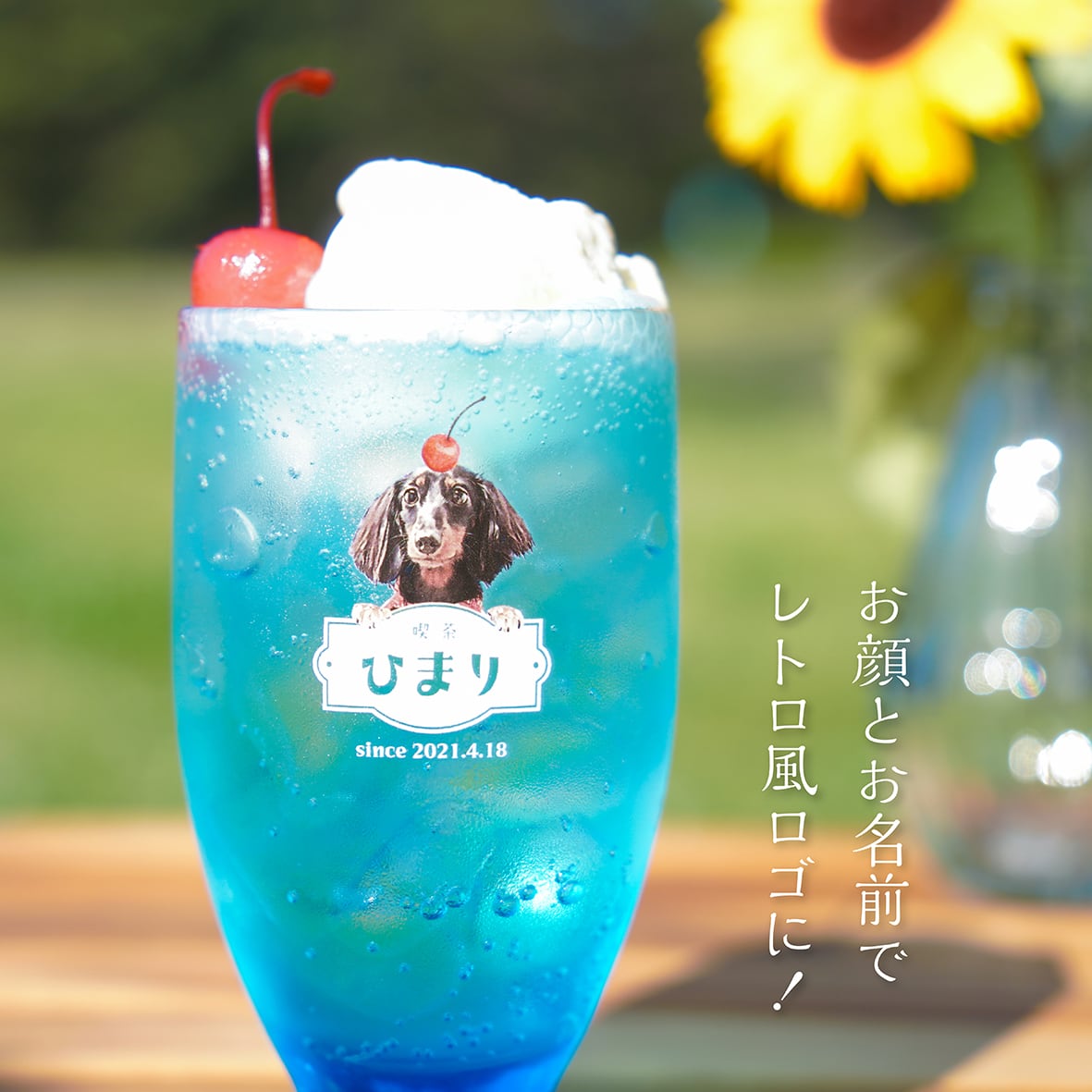 レトログラス 〈昔ながらの喫茶店テイスト〉 | ひまわん レトログラス 〈昔ながらの喫茶店テイスト〉 | ひまわん
