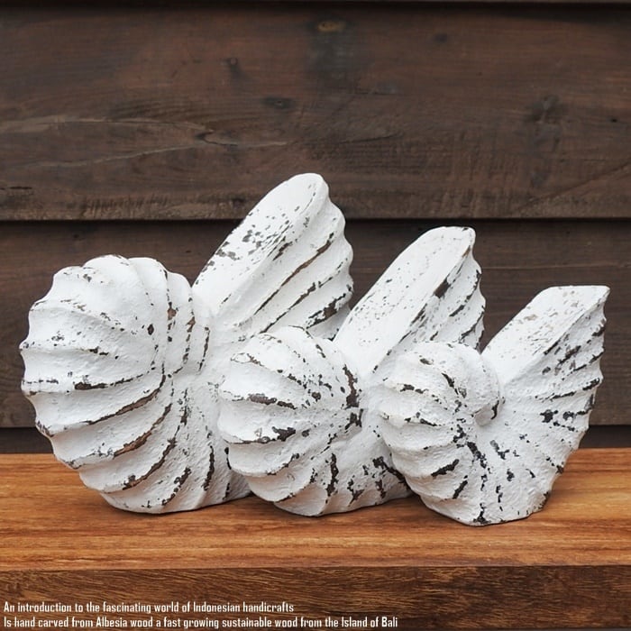 木製 オブジェ オウムガイ Lサイズ 21cm 貝 ホワイトウォッシュ 木彫り