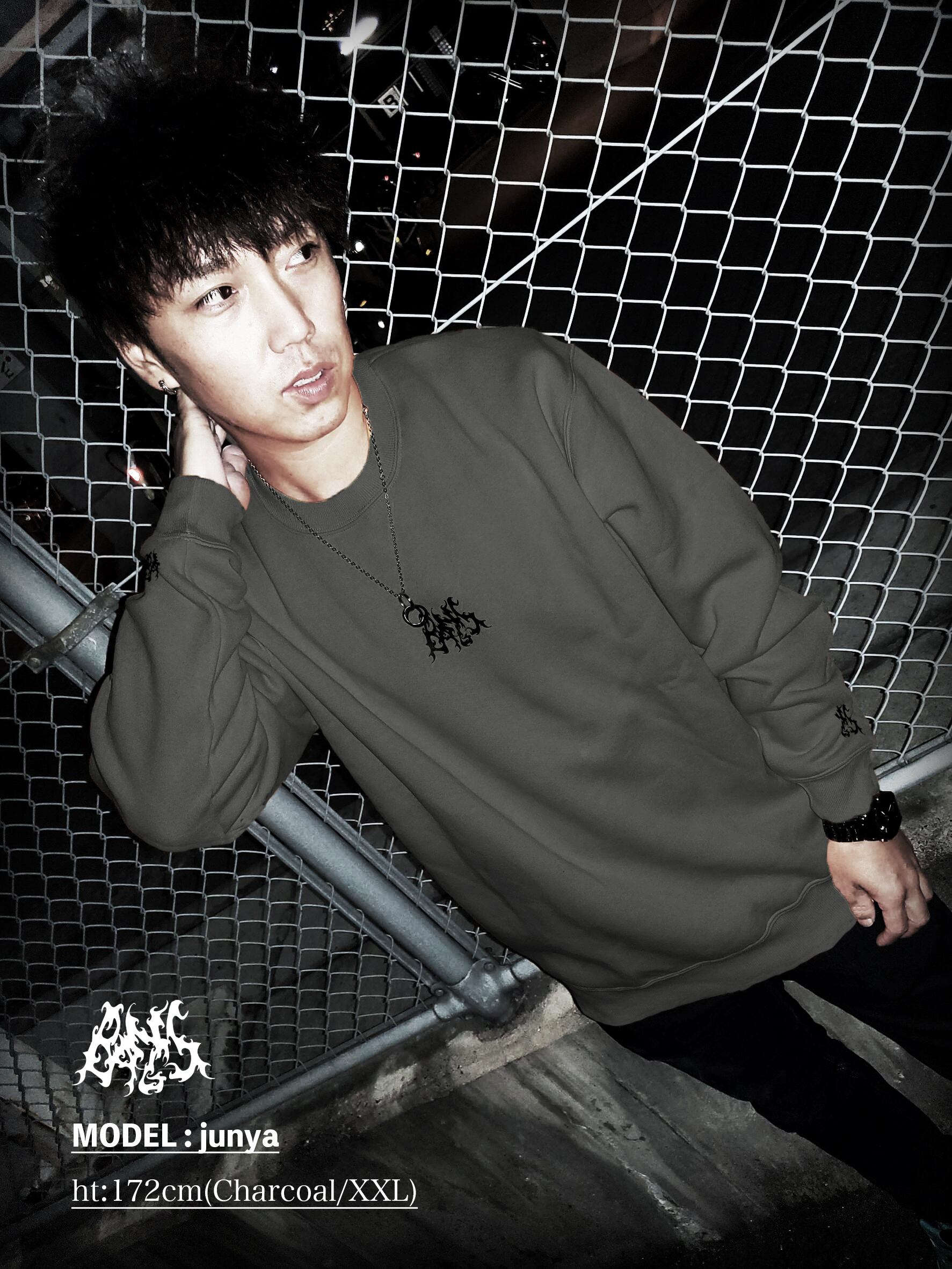 Haze logo/ｽｳｪｯﾄﾄﾚｰﾅｰ | BANGS