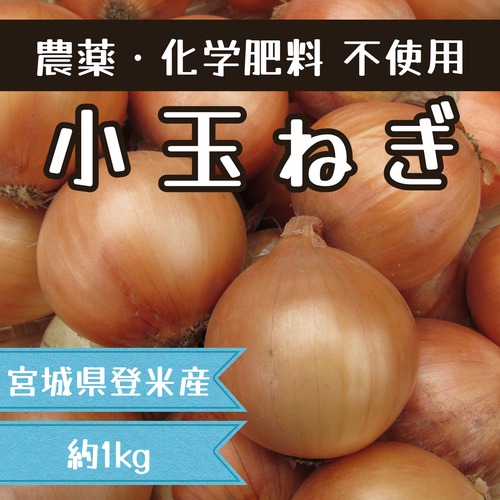 【小】玉ねぎ 1kg