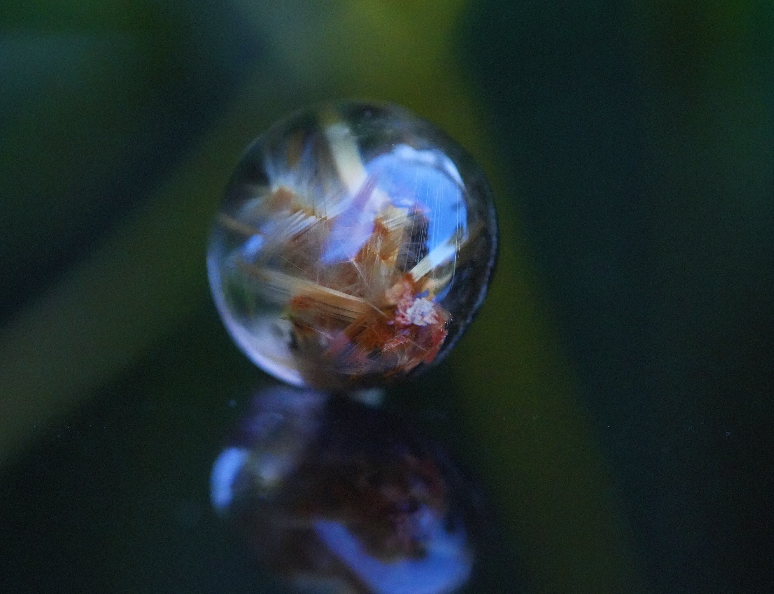 綺麗なタイチンルチルたん！これだぬ！ 綺麗なタイチンルチルたん！これだぬ！ トップクオリティ】【透明度