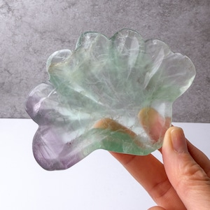 フローライト シェル プレート ＊ Fluorite ＊ 天然石