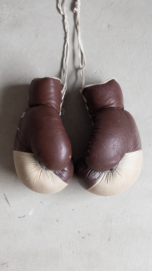 "ROMBO" 1980s Boxing gloves