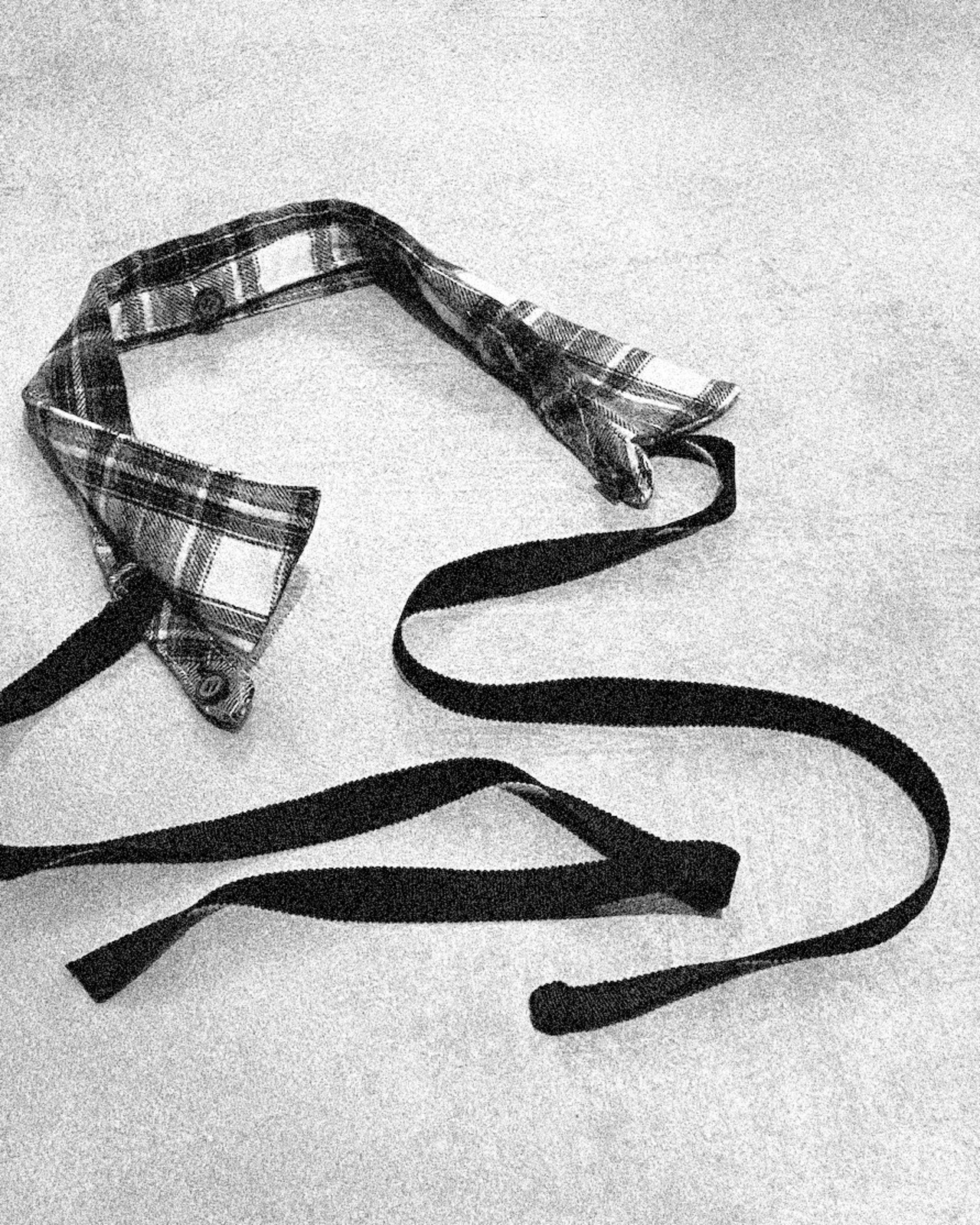 PU7 / PLAID