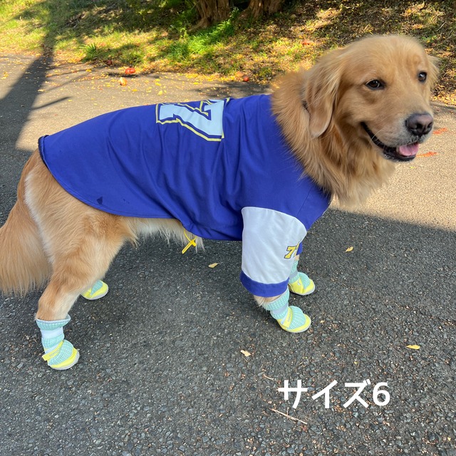 犬の靴 4足分 ペットシューズ 通気性の良いペットシューズ　高性能シューズ　犬の靴　アウトドア用品　安全　災害時　足を保護