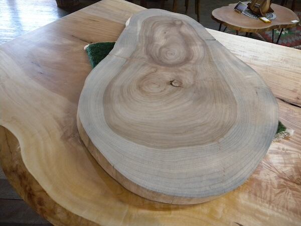 楠（クスノキ）輪切り・センターテーブル・花台・敷台 KW-2 | 一枚板