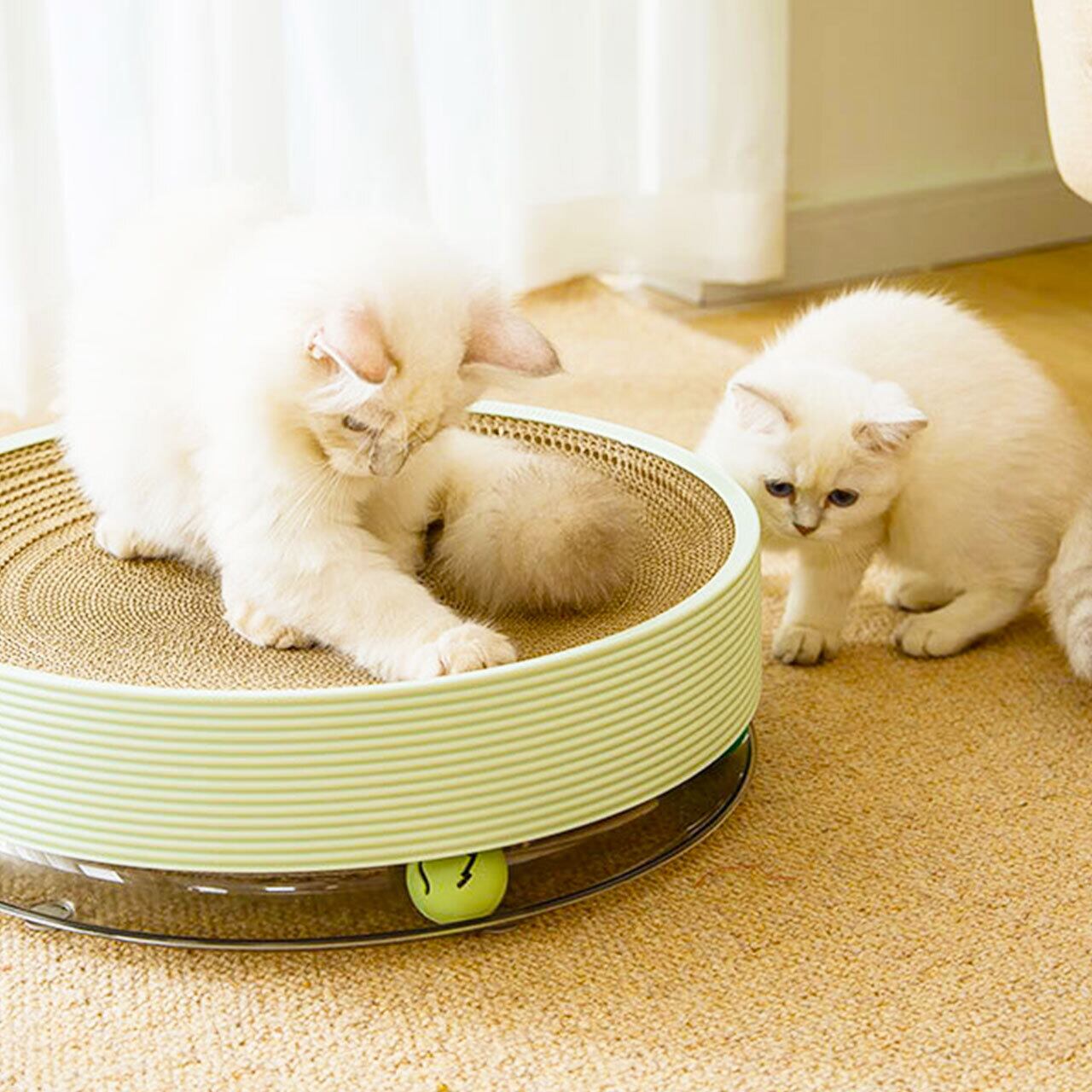 ペットドライルーム ドライヤーハウス 犬 猫 ドライヤー ホコリ ペットドライルーム ドライヤーハウス 犬 猫 ドライヤー ホコリ