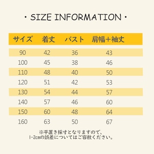 秋水色ストライプTシャツ