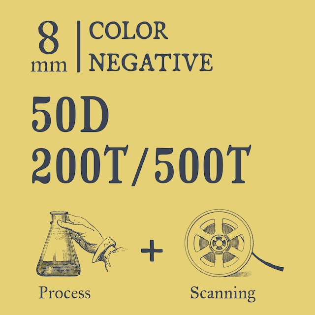 Color Negative PROCESS & 4K SCAN ×1