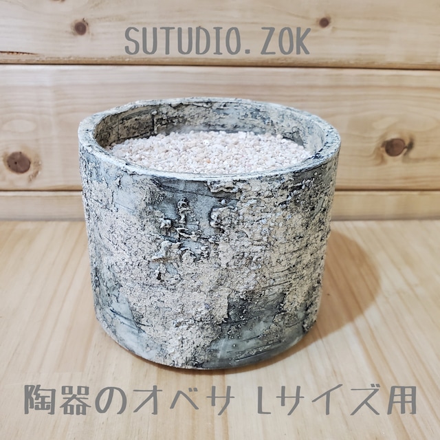 【陶器のオベサ用鉢】陶植 SUTUDIO.ZOK Lサイズ用 ソイル付き