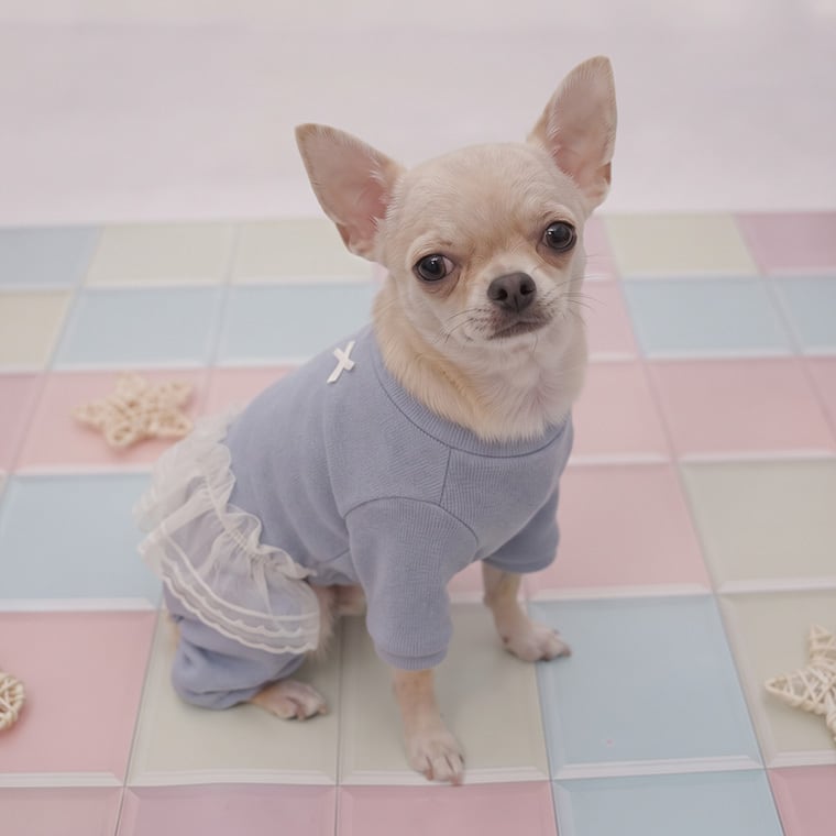 lurabo all in one S ~ XL 2color  /  犬服 オールインワン 秋 冬 春 ドッグウェア レース 重ね着 長袖 無地 シンプル 小型犬 中型犬 犬 服 ペット洋服 韓国犬服 ストレッチ素材