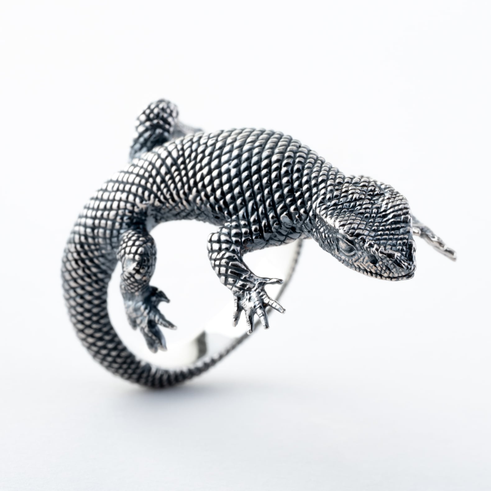 サバンナモニターリング | Cold I's 公式オンラインショップ