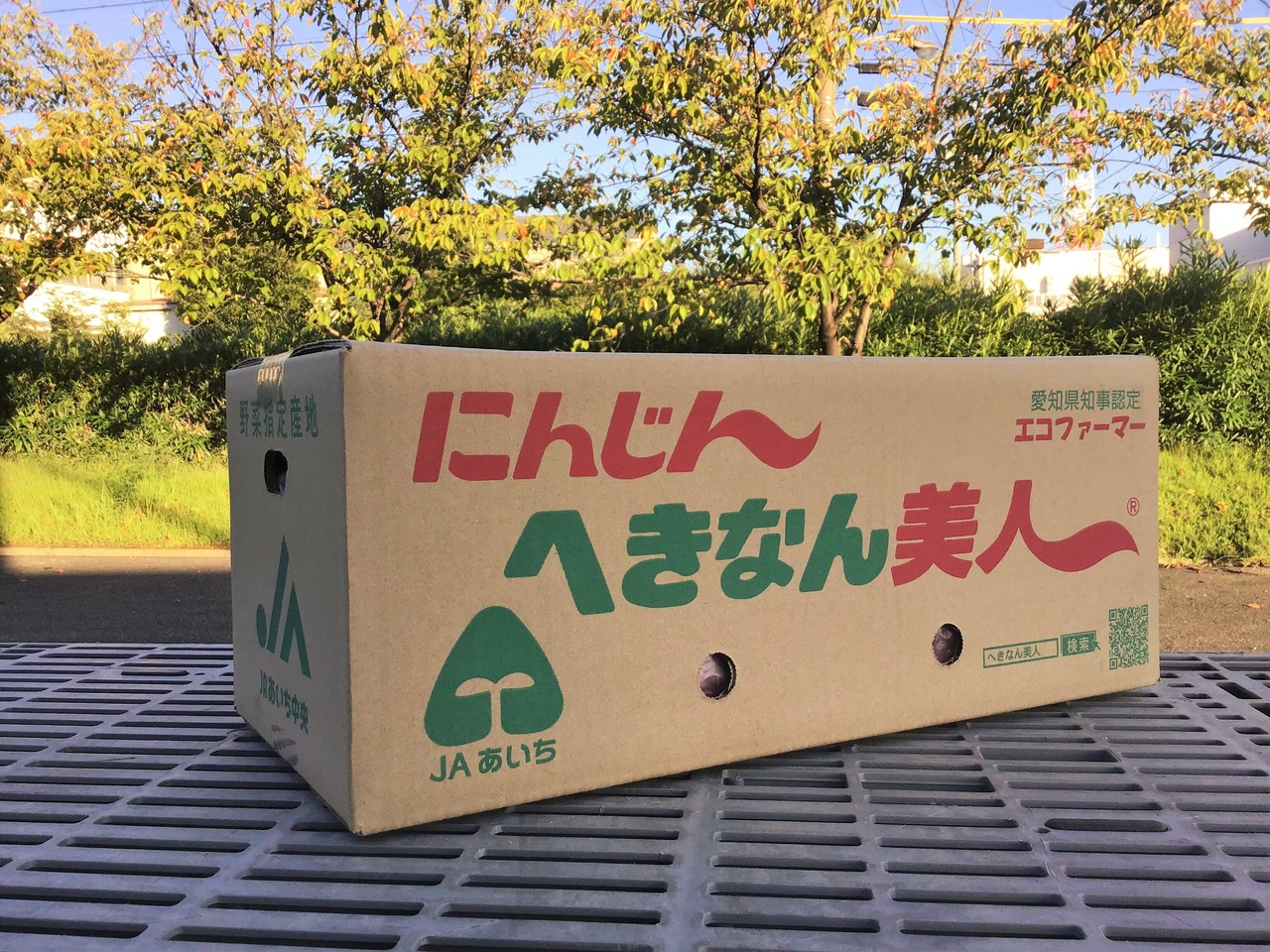 JAあいち中央碧南人参部会｢加工用へきなん美人10kg｣