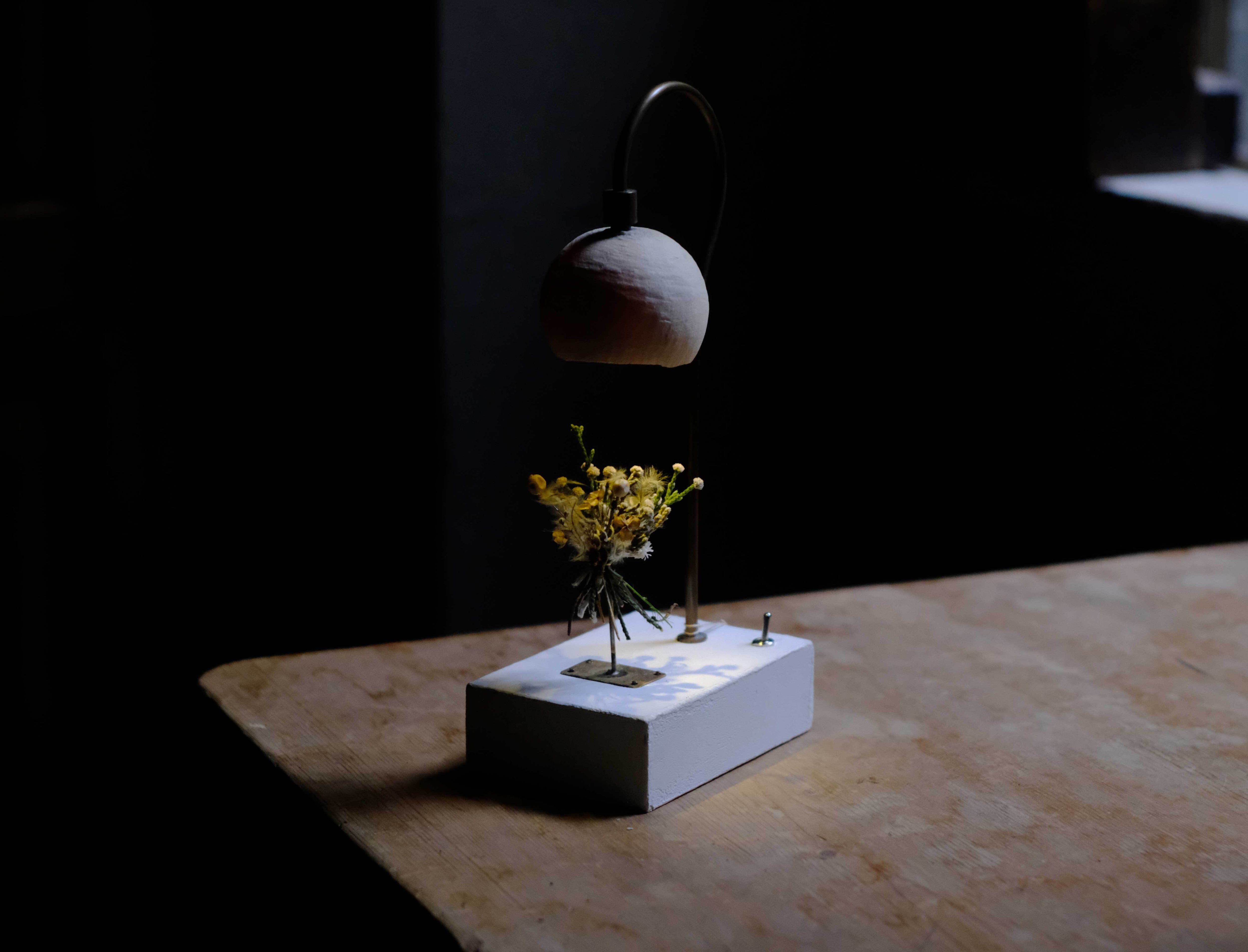 LAMP/照明・ランプ | はいいろオオカミ＋花屋西別府商店