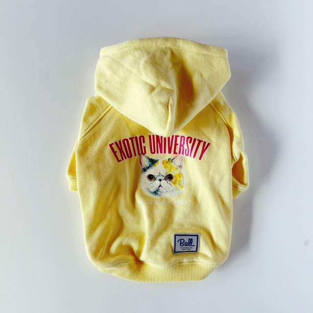 EXOTIC UNIVERSITY パーカー あられ（薄いイエロー）