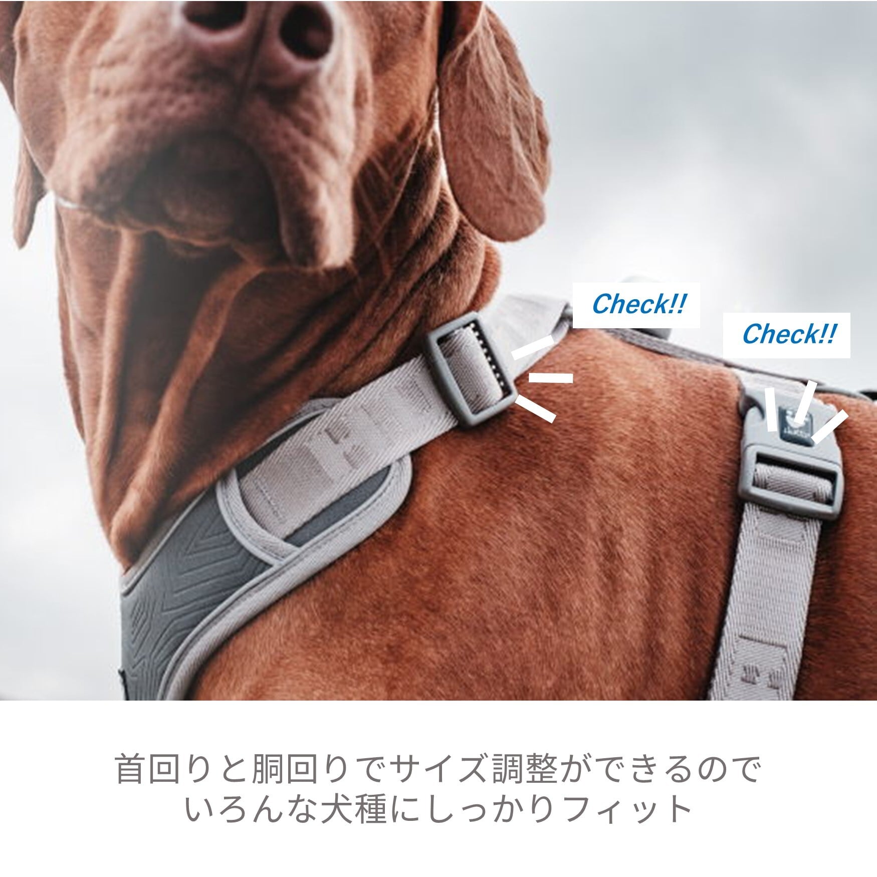 Hurtta】フルッタ・ベンチャーハーネス ノープルタイプ【35-40サイズ