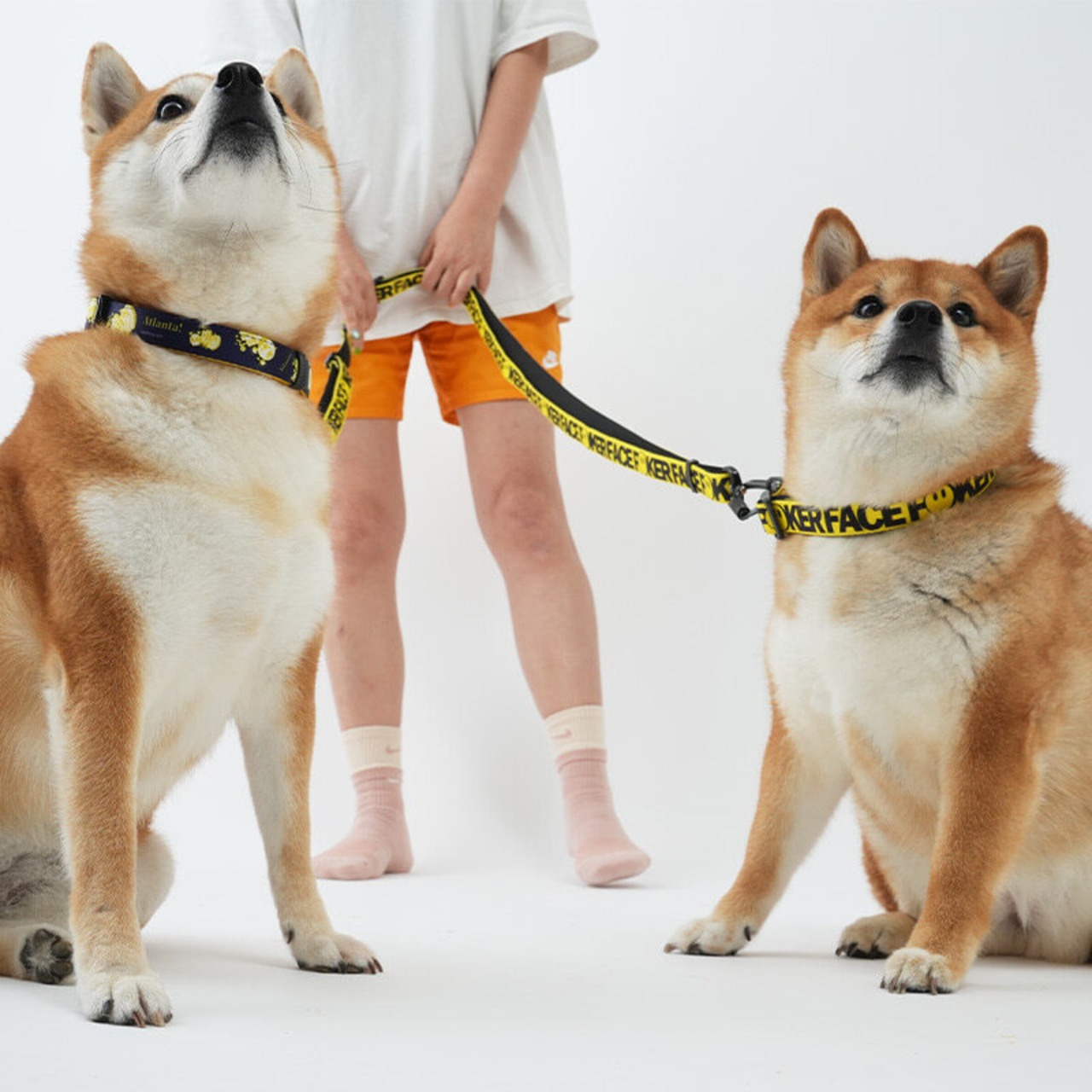 【PUPPYGALLERY公式】ポーカーフェイス・レトロフラワー首輪　L