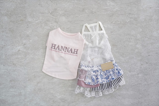 Cracker（クラッカー）コリアンダー　XS-XL.DS