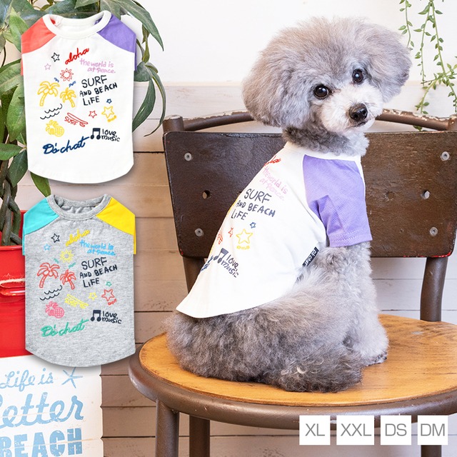 アシメポップTシャツ XL/XXL/DS/DM D's Chat-ディーズチャット- 犬服 ドッグウェア 小型犬 トイプードル チワワ ポメラニアン DS22SS ds161128-2