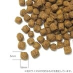 定期便【パピー20㎏（10kg×2）】プリンシプルドッグフード | MSfromYSE