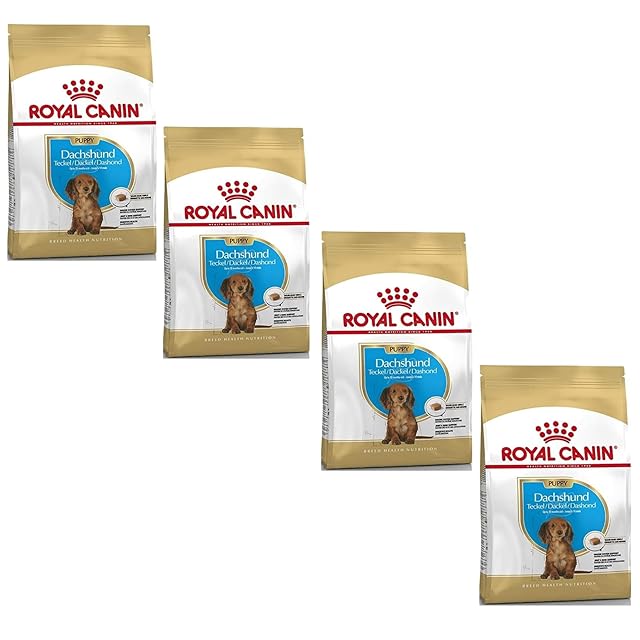 ROYAL CANIN ミニ インドア パピー 4kg+800g ロイヤルカナン SHNミニ