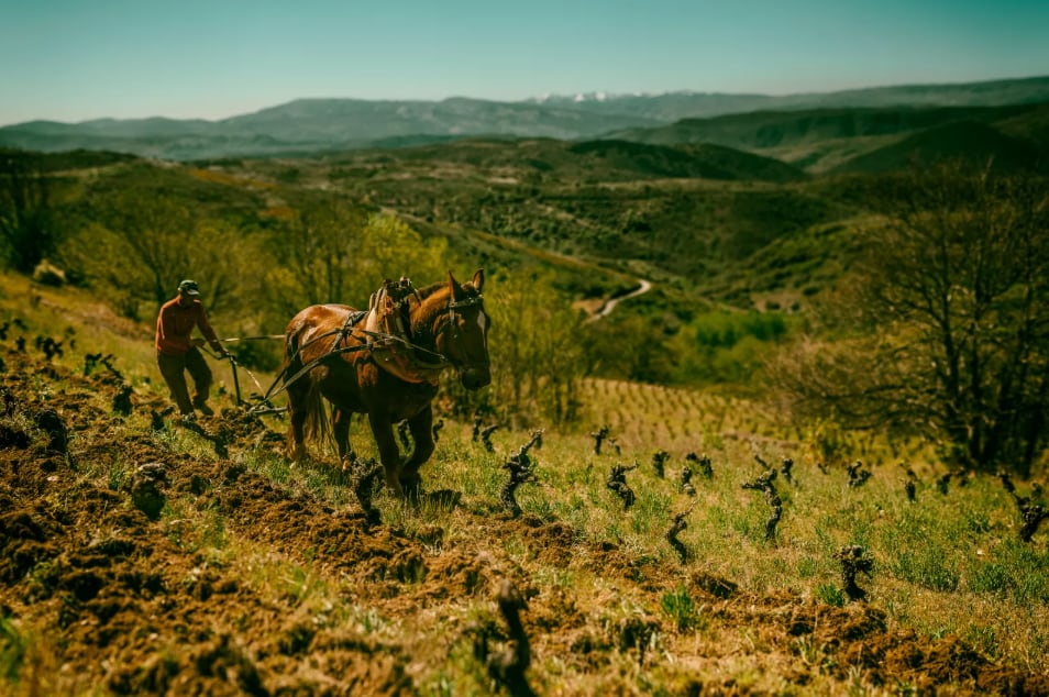 新VT【ラウル・ペレス】ウルトレイア サン・ジャック2022