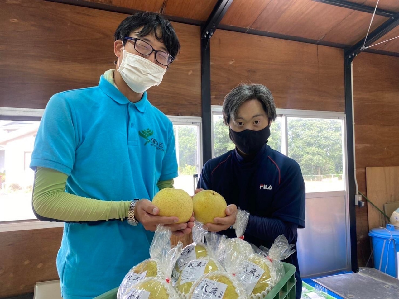 望の丘のかおり梨 【無添加•岡山県産】2022秋収穫（ドライフルーツ：フルーツ王国 王様のおやつ）　