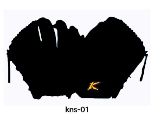 【硬式：投手用オーダー】KNS-01モデル