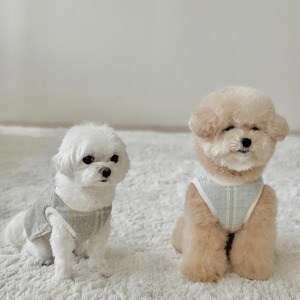 【即納】EYOU クラシック チェック ベスト｜スカイ