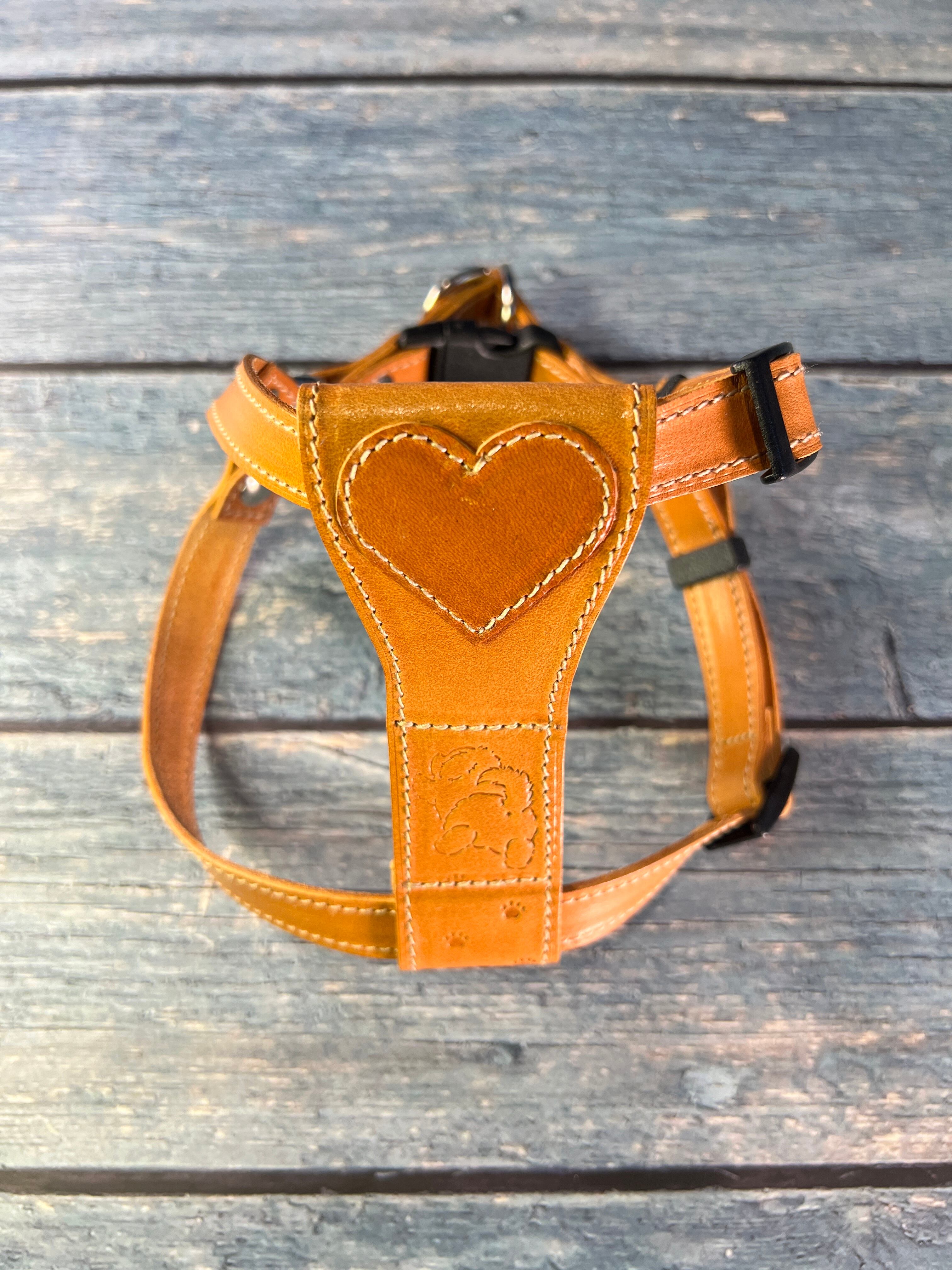 レザーハーネス シンプル胸当てタイプ 愛犬用 本革 名入れ オーダー