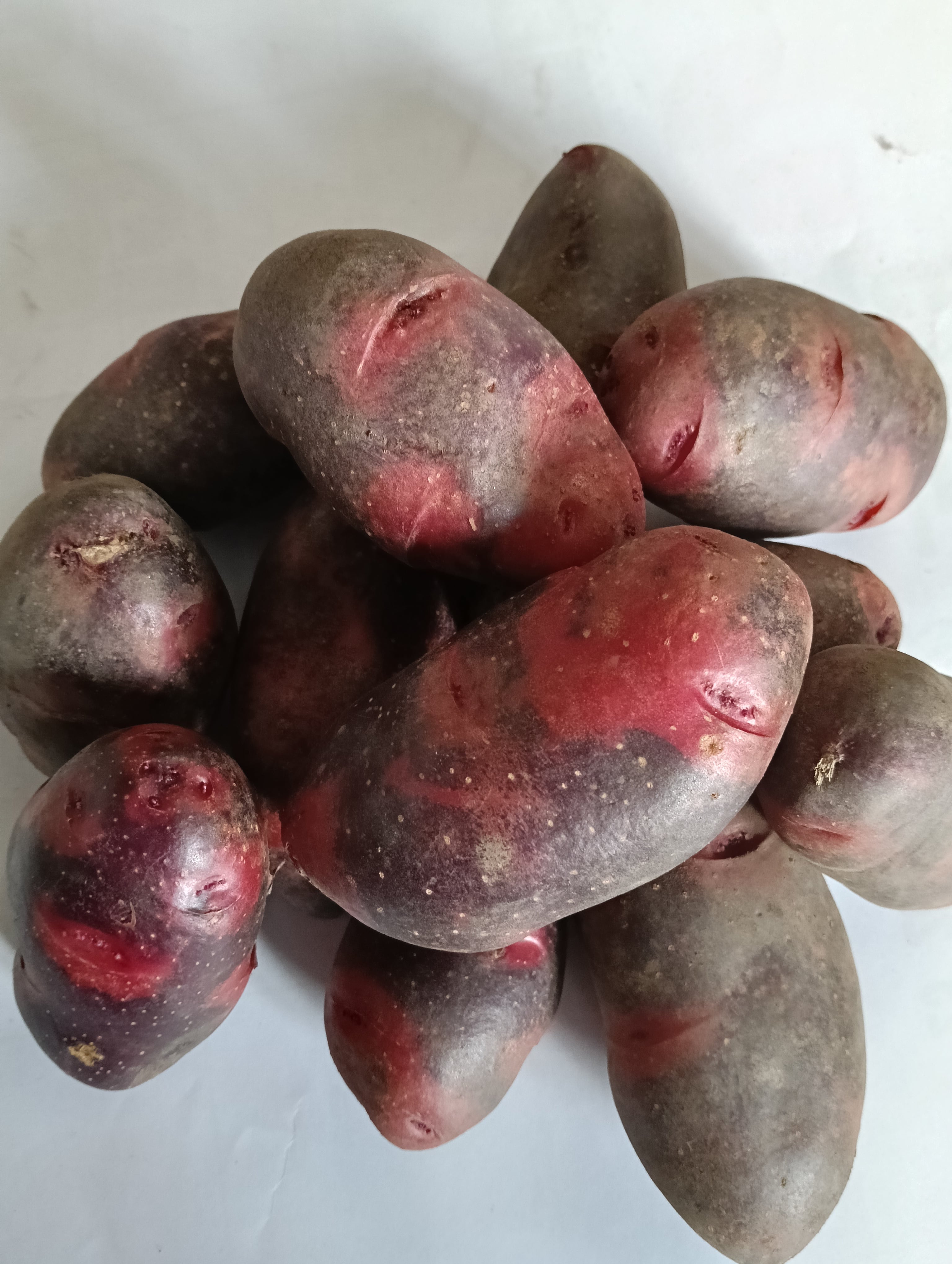 終了】デストロイヤー5キロ ねっとり濃厚なじゃがいも〜雪室熟成〜別名