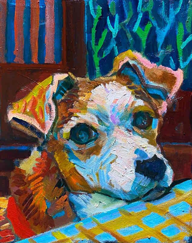 OIL COLOUR | 油彩画 #現代アート #犬 #猫
