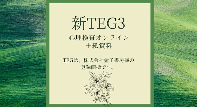 TEG3 心理検査（オンライン検査＋紙資料）