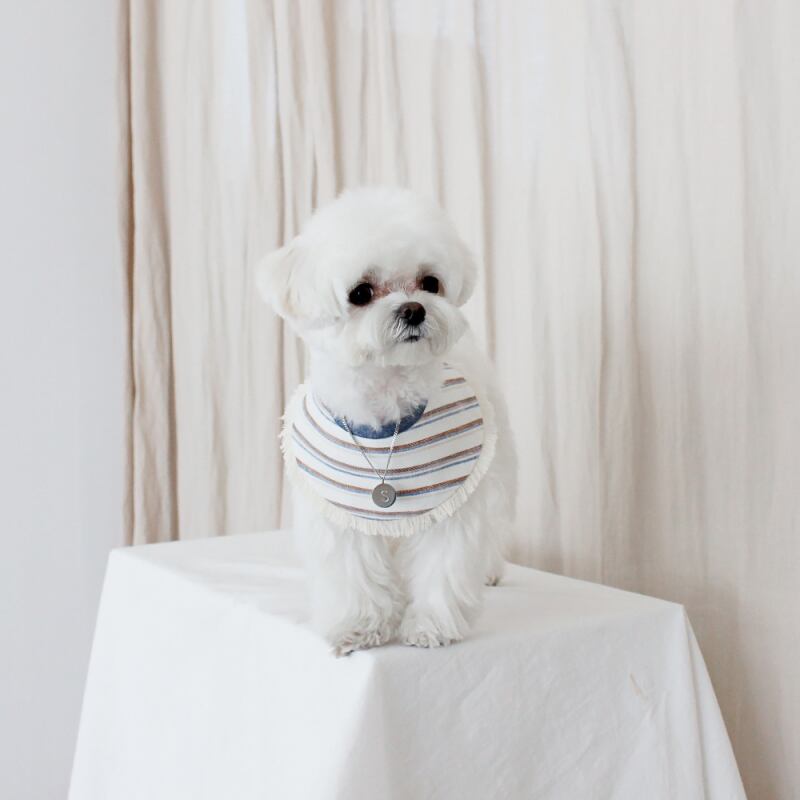 〈即納アイテム〉EYOU ケープ / Sky pendant (アルファベット L) Mサイズ