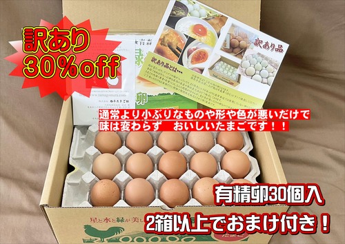 【訳あり 30％off】平飼い有精卵　30個（15個入り×2段）『2箱以上でおまけ付き！』