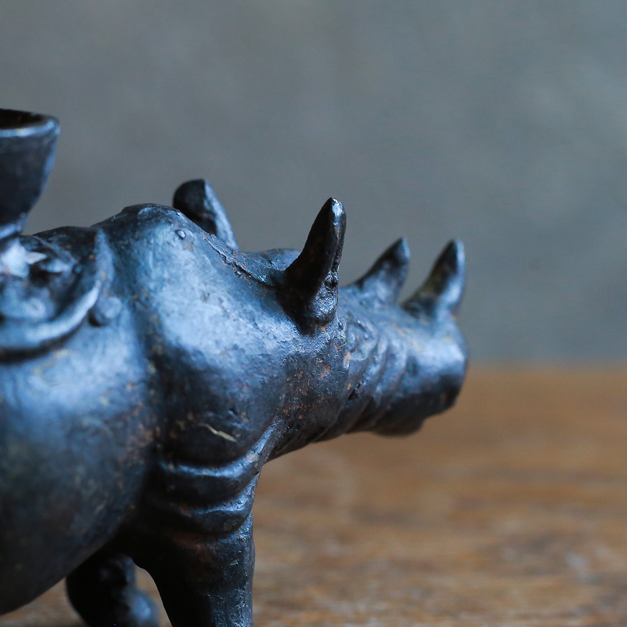 背中にキャンドルを乗せる、ずっしりとしたサイ 1