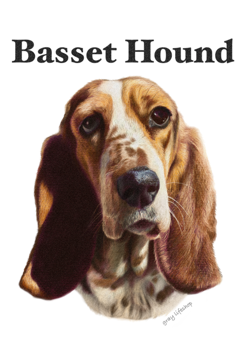 gray original Dog face &breed printed S/S TEE［Basset Hound］